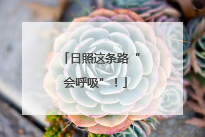 日照这条路“会呼吸”！